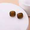 Tiger Eye Earrings