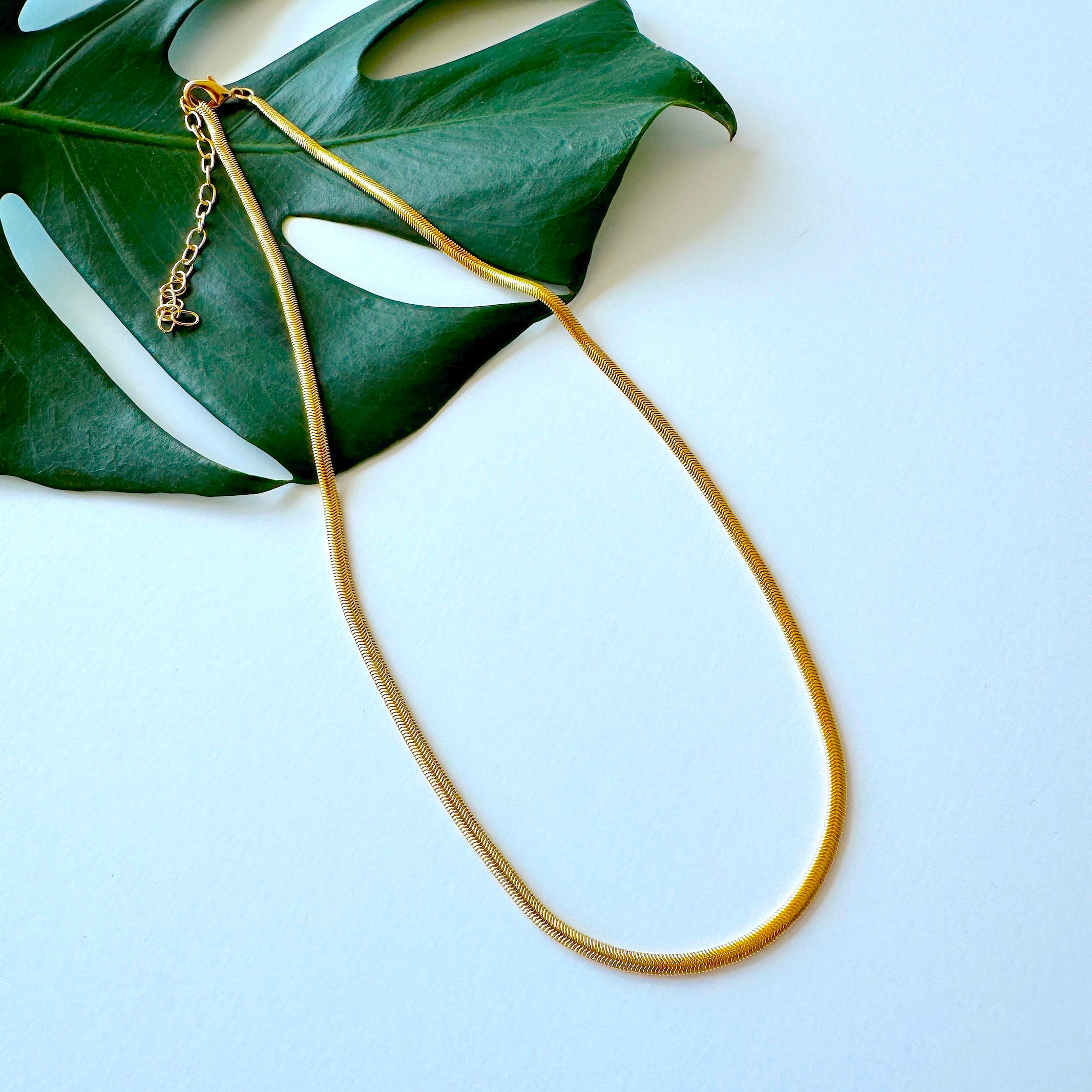 Snake Chain Necklace - Belo Jewelry